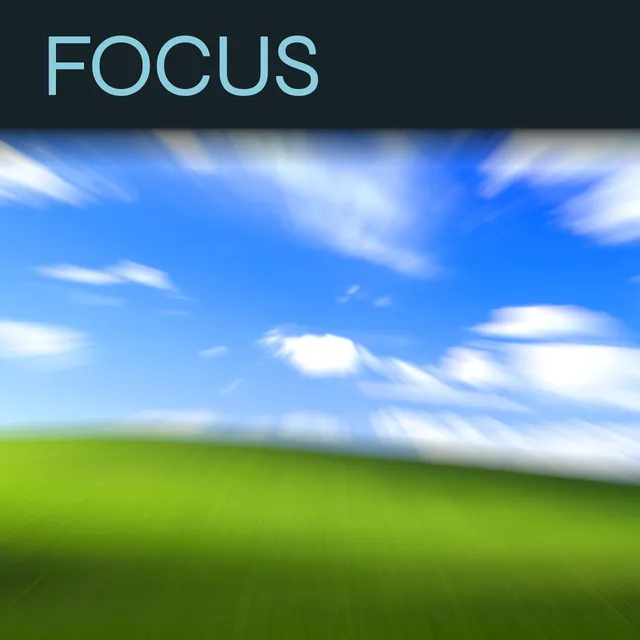 Focus collection artwork